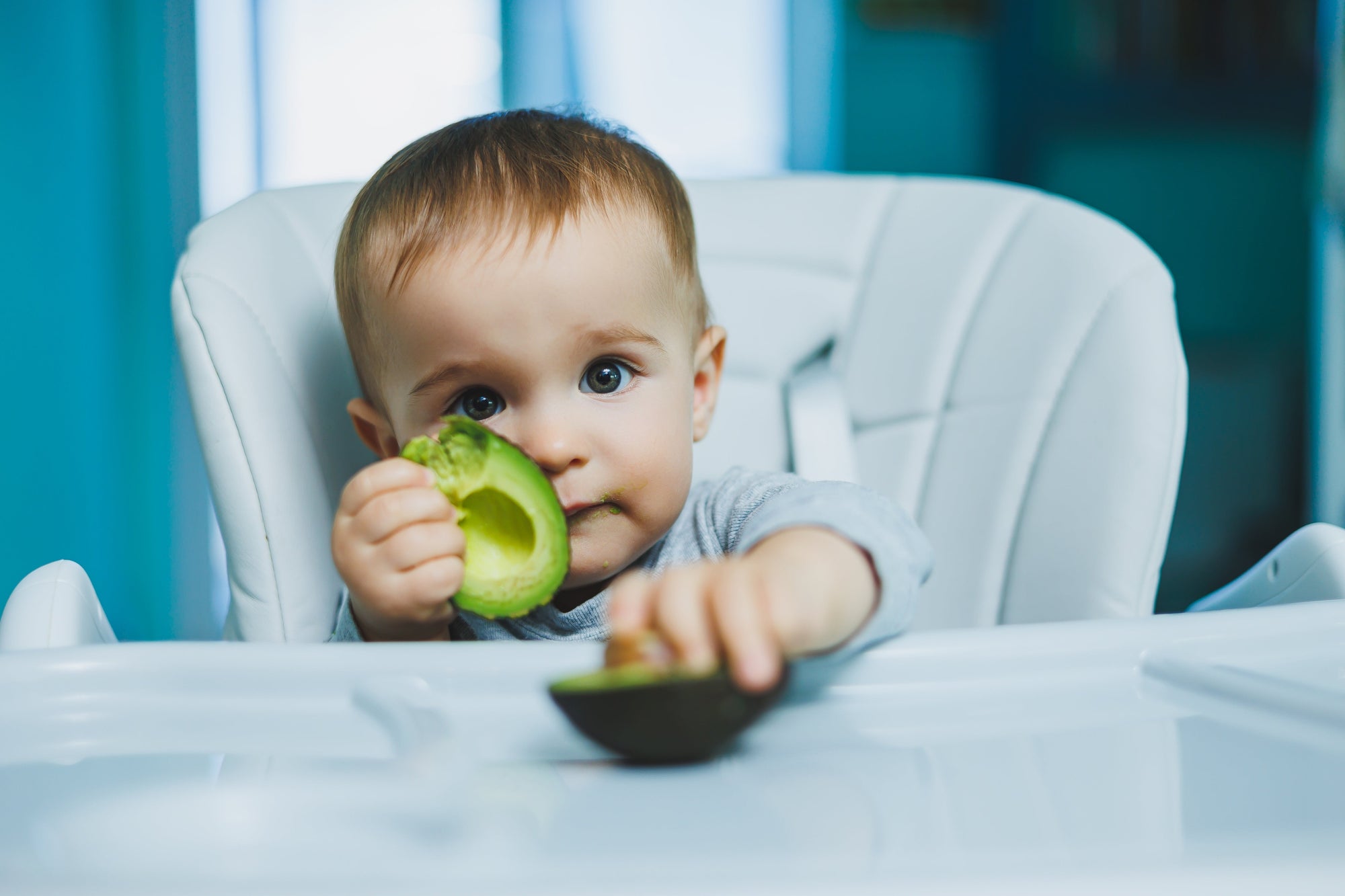 "Baby" eating half avocado. "Natchiketa"